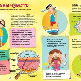 Органы чувств