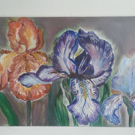 Ирисы