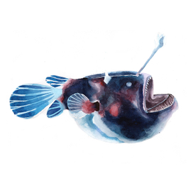 Рыба-удильщик