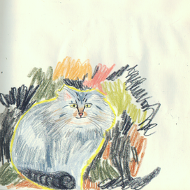 мистер моно