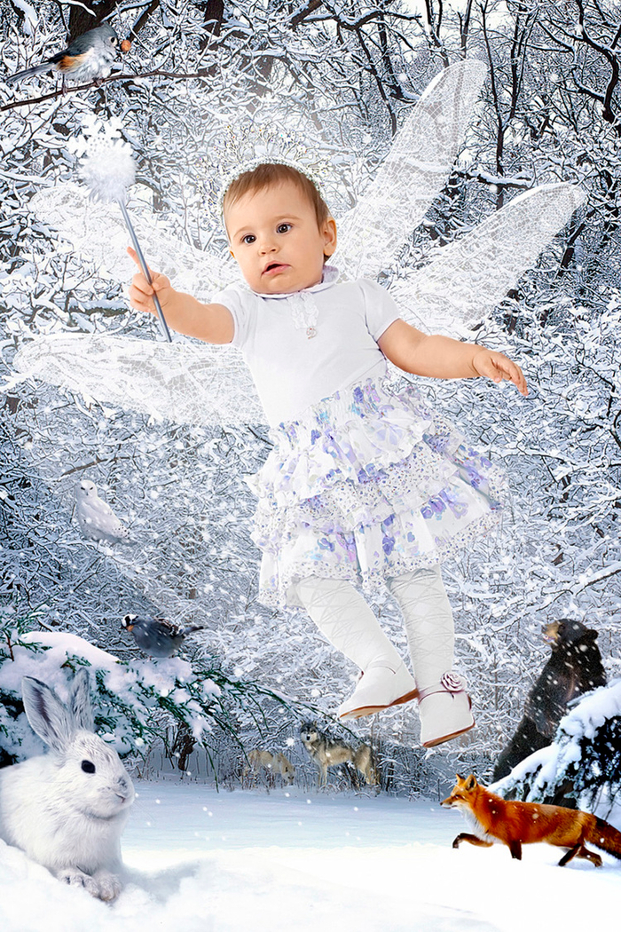 Частный заказ, коллаж «СнеЖана»