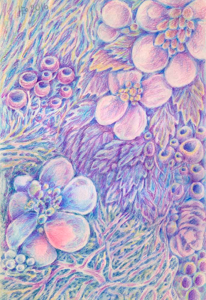 раннее утро