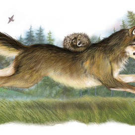 волк и ёжик