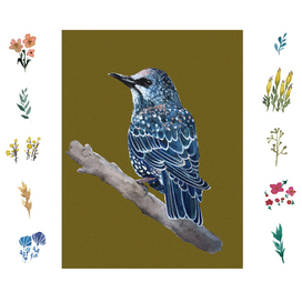 Скворец в цветах/Starling in flowers