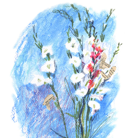 Гладиолусы