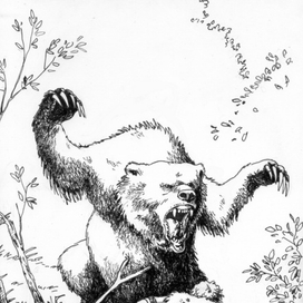 охота на медведя