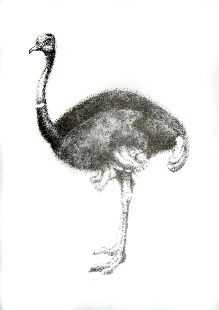 Страус (пуантилизм) 