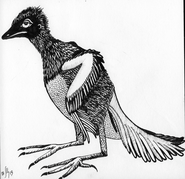 Дитеныш летающего динозавтра