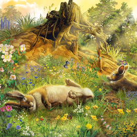 рваное ушко