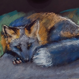 Черно- огненный лис