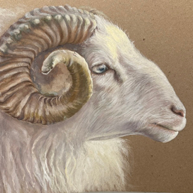 Бараний рог