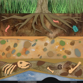 Как искали тюменскую нефть