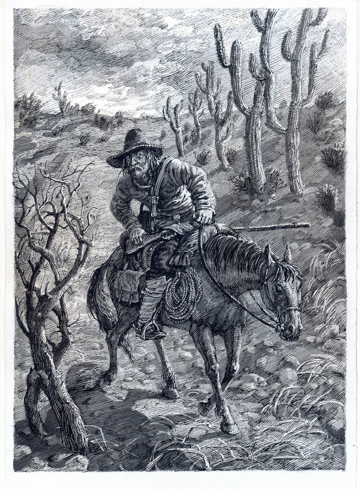 М.Рид " Всадник без головы". 