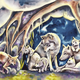 Семья волков и шакал Табаки