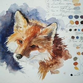 Портрет лисы