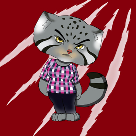 Манул Яростный