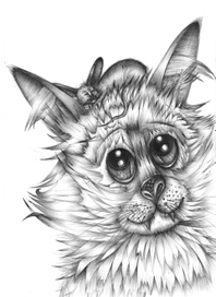 Шариковая ручка .