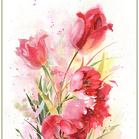 майские тюльпаны