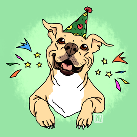 Питбуль-поздравляшка