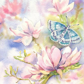 Голубая бабочка на цветущей магнолии