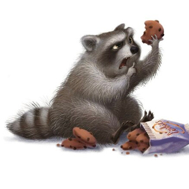 Ворчливый енот