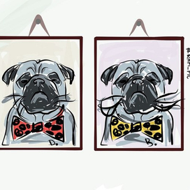 Когда в доме двое мопсов 