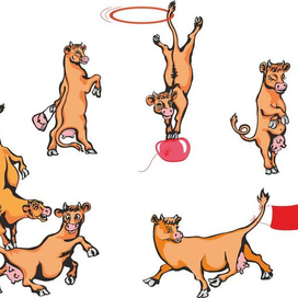 Шесть коров.