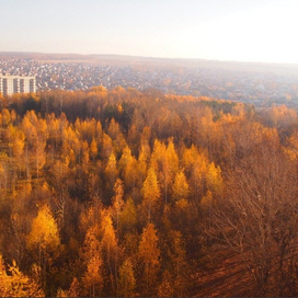 Ноксинский Лес Восток