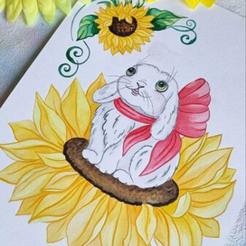 зайчик на подсолнухе