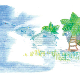 Домашняя акула (3)