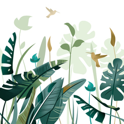 папоротники