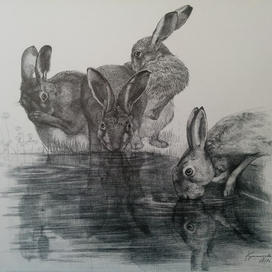 Перед выстрелом!