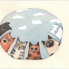 что тут у нас