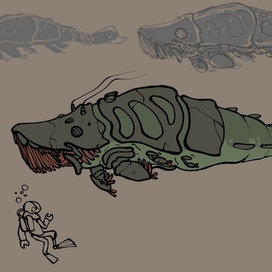 Китовый жук