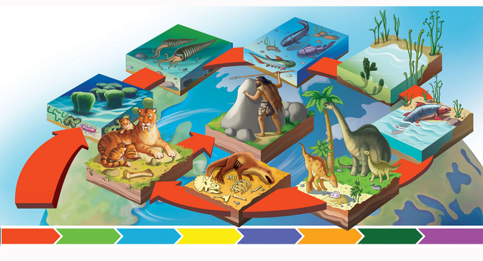 Мир в котором мы живем. для Malamalama