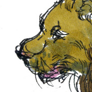 Молодой Геракл