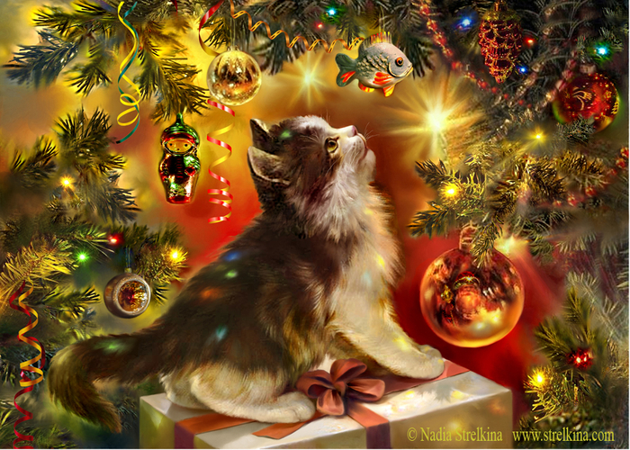 Мечта котёнка