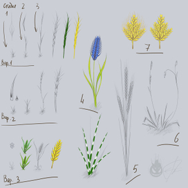 Концепт пшеницы