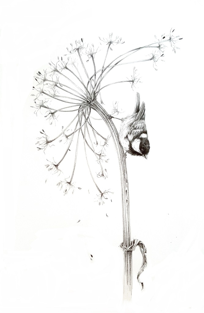 Позднеосенний сюжет