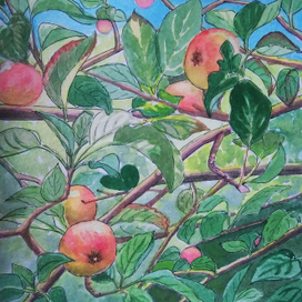 Яблочный август