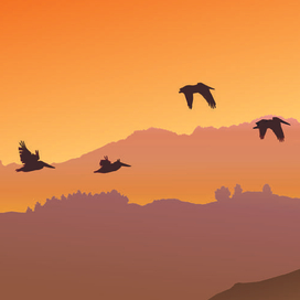 Экзотический пейзаж