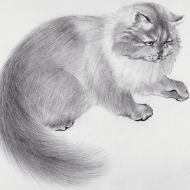 кот карандашом