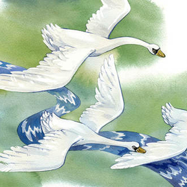 Гуси-Лебеди