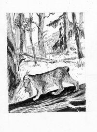 "Мальчик и рысь" Сетон-Томпсон