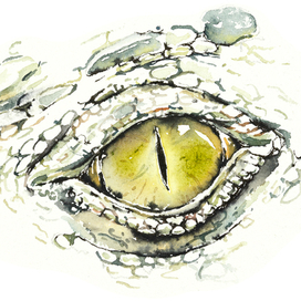 Зеленый Дракон