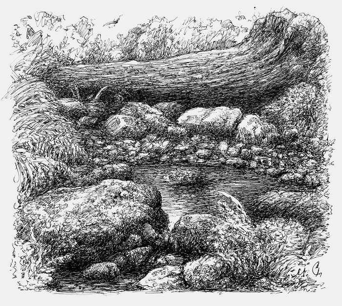 Заброшенный ручеек