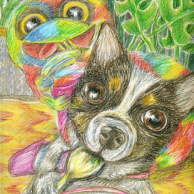 Продолжение Сказки про Кота и Гриб