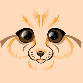 Сафари. Фенек.