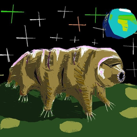 Тихоходка в космосе