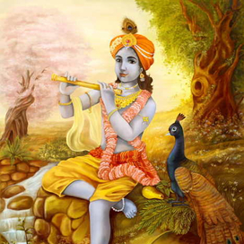 кришна(копия)